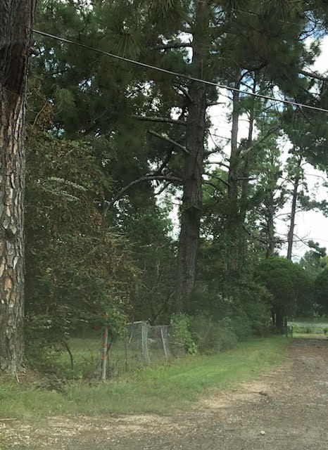 0 Rod Street Byram, MS 39272 - Photo 5 of 5 Photo 5