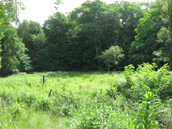 221 Chapin Road Hampden, MA 01036 - Photo 3 of 5