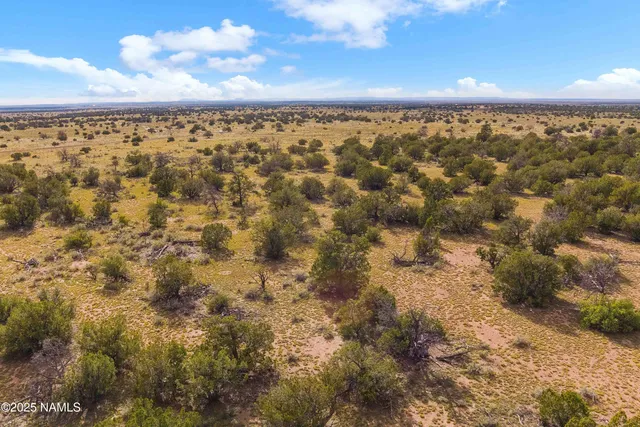 a view of yard with wooden fence