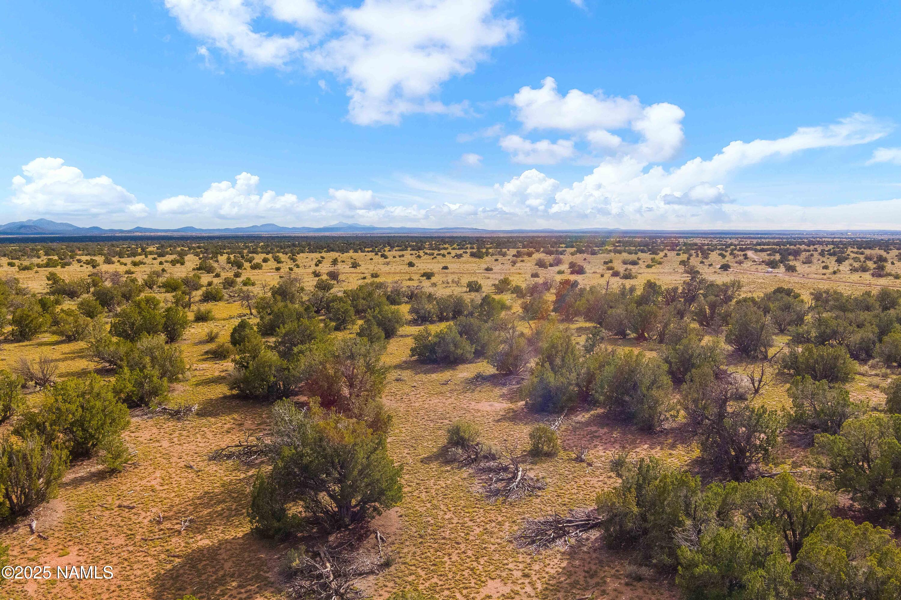 3697 East S Rim Ranch Road, Unit C Williams, AZ 86046 - Photo 8 of 48 a city view