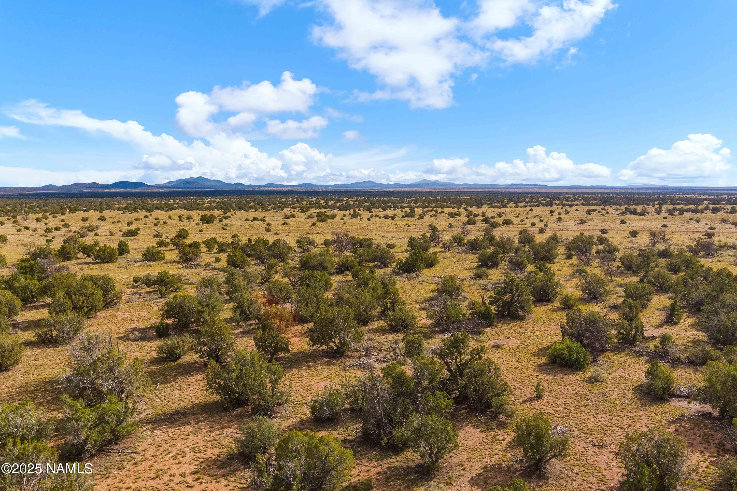 3697 East S Rim Ranch Road, Unit C Williams, AZ 86046 - Photo 10 of 48 a view of outdoor space and mountain