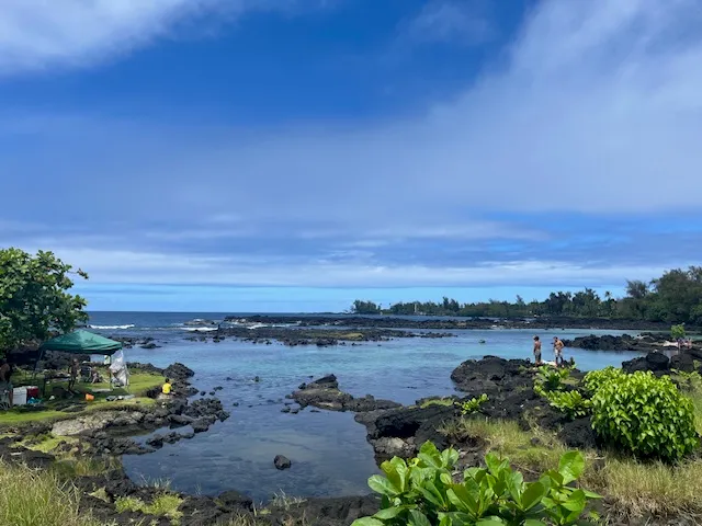 an aerial view of a city with lots of residential buildings and ocean view in back