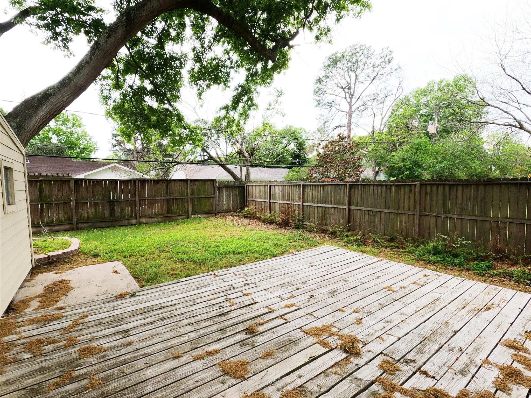 5231 Beechnut Street Houston, TX 77096 - Photo 19 of 19 a view of backyard with wooden fence and a large tree