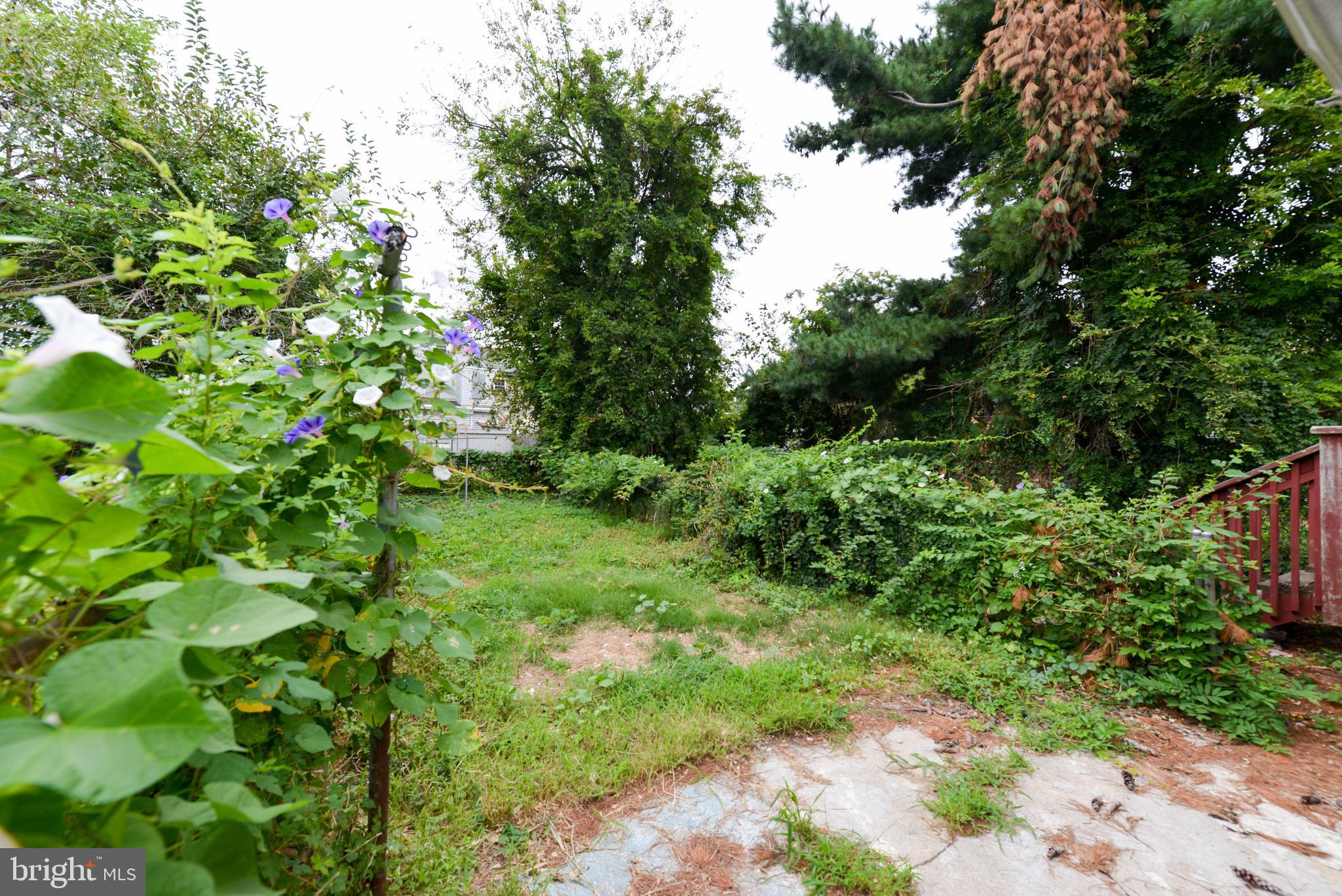 322 Ridgeway Street Gloucester City, NJ 08030 - Photo 3 of 22 a view of a garden with a tree