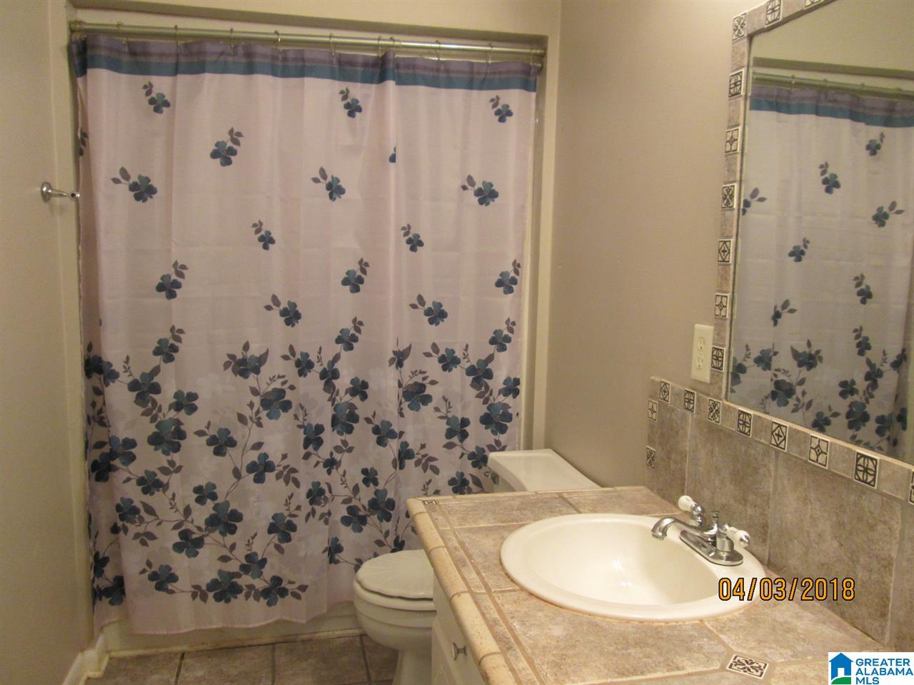 809 8th Circle North Pell City, AL 35125 - Photo 10 of 33