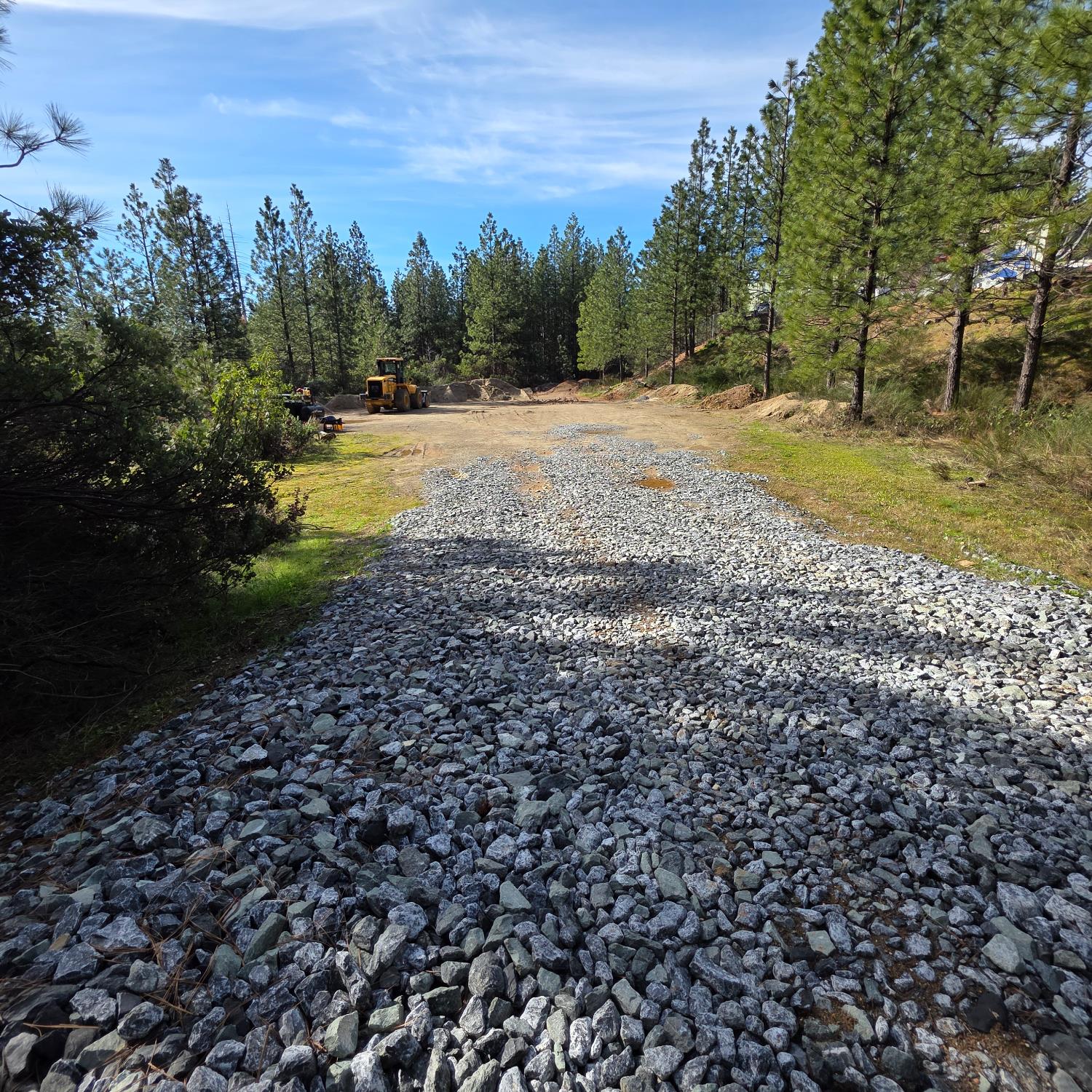 6721 Eaton Road Georgetown, CA 95634 - Photo 2 of 14 a view of a yard with a tree