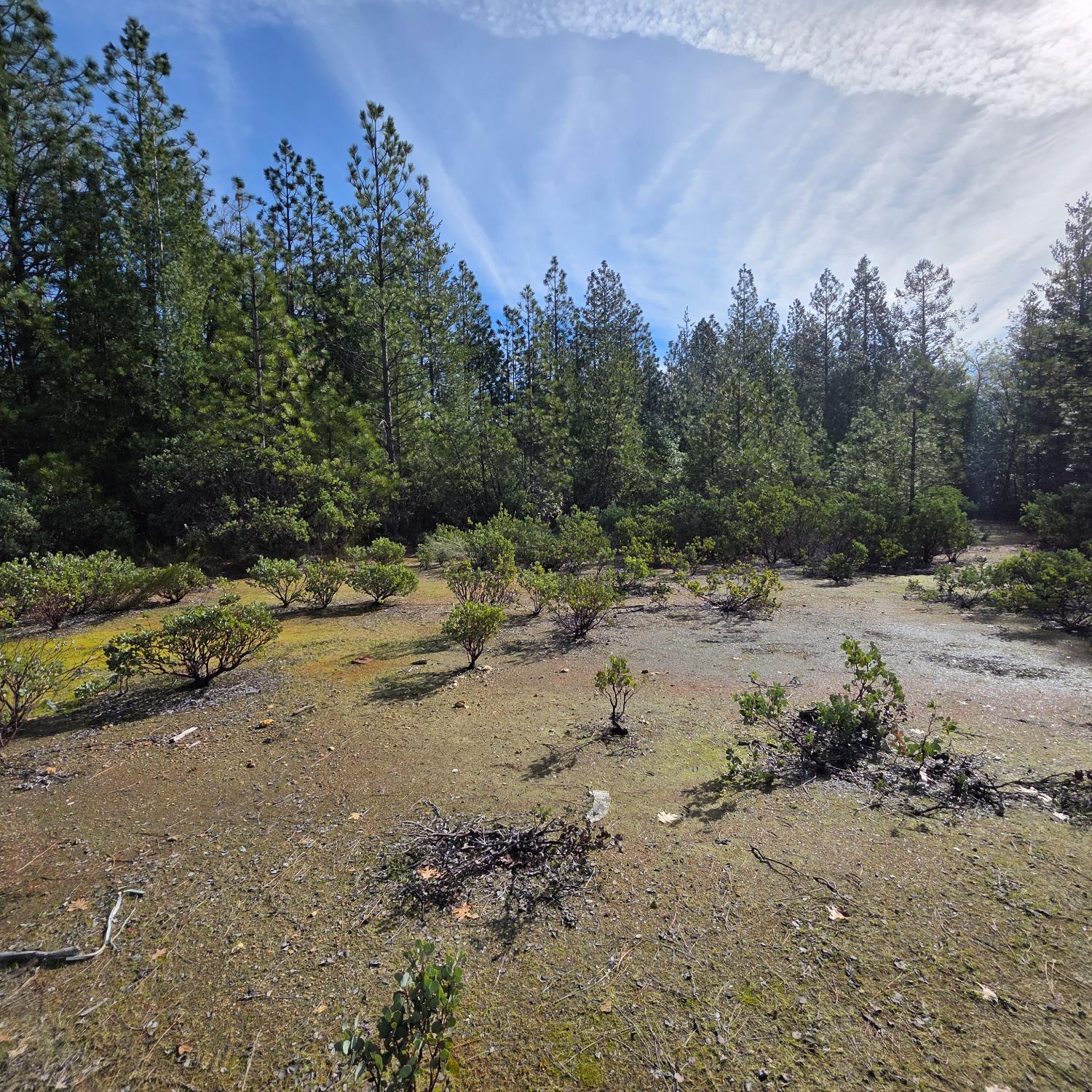 6721 Eaton Road Georgetown, CA 95634 - Photo 4 of 14 a view of a dirt road with a building in the background