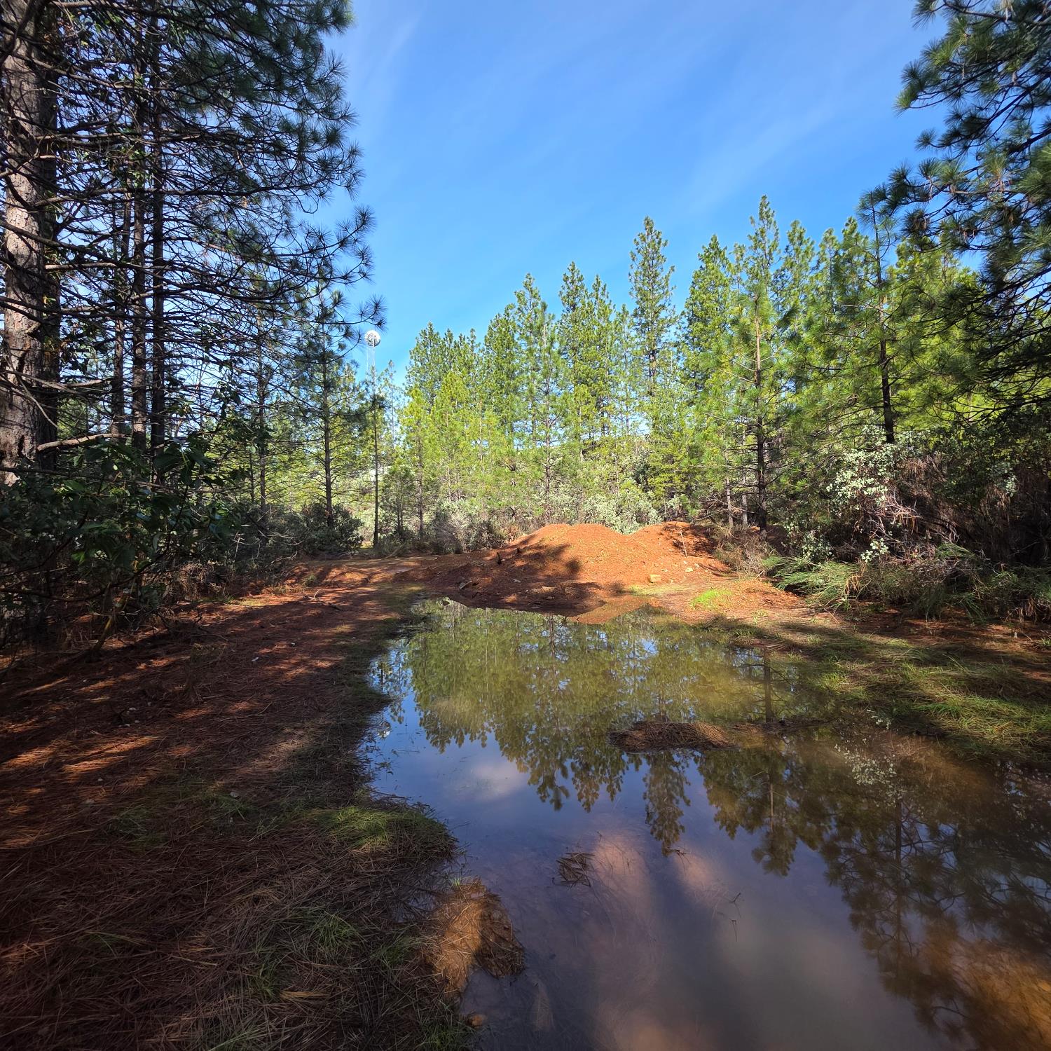 6721 Eaton Road Georgetown, CA 95634 - Photo 6 of 14 a view of a street view of a house