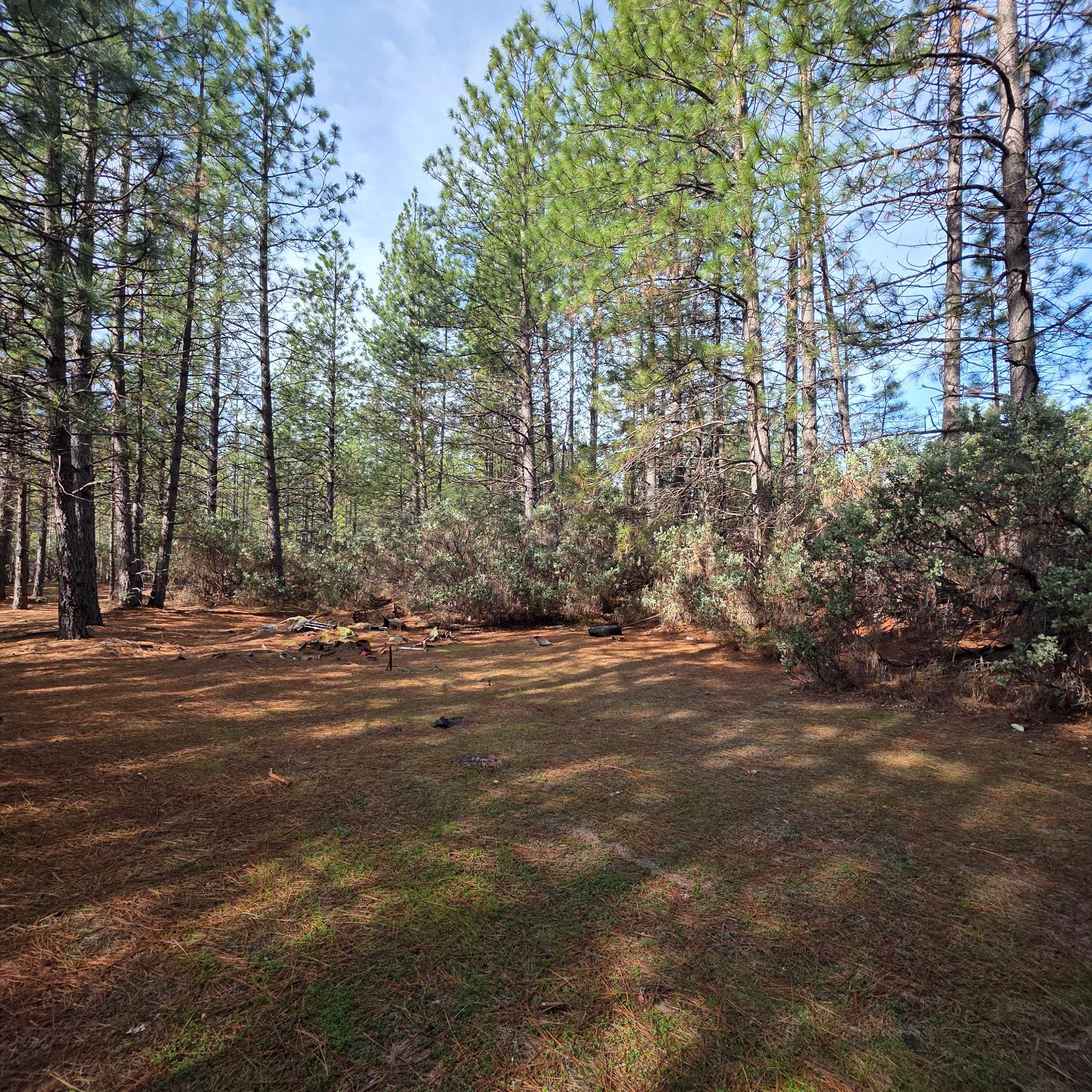 6721 Eaton Road Georgetown, CA 95634 - Photo 9 of 14 a view of a street with a building