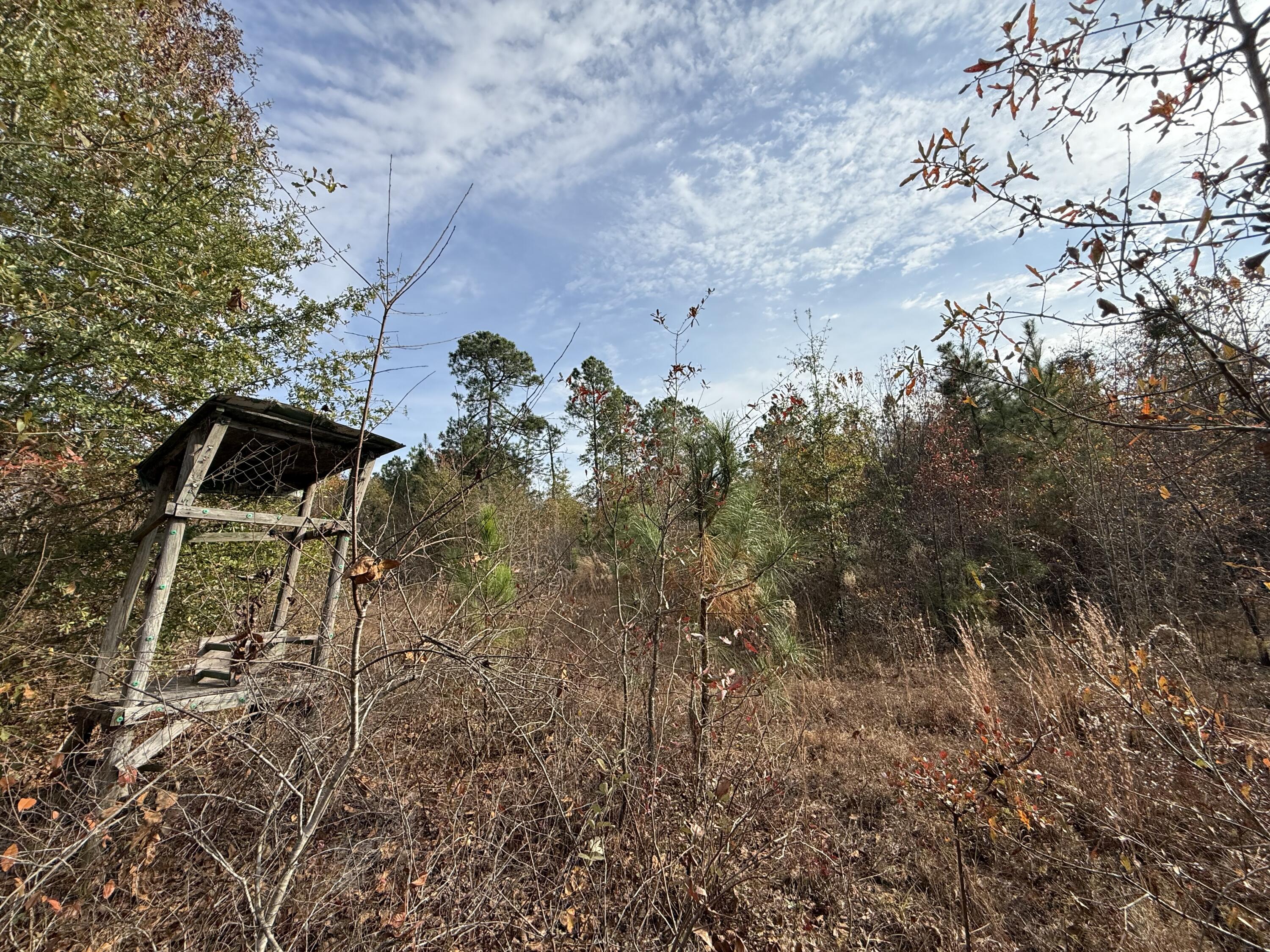 3391 Davis Bridge Road Williston, SC 29853 - Photo 1 of 16 IMG_3953