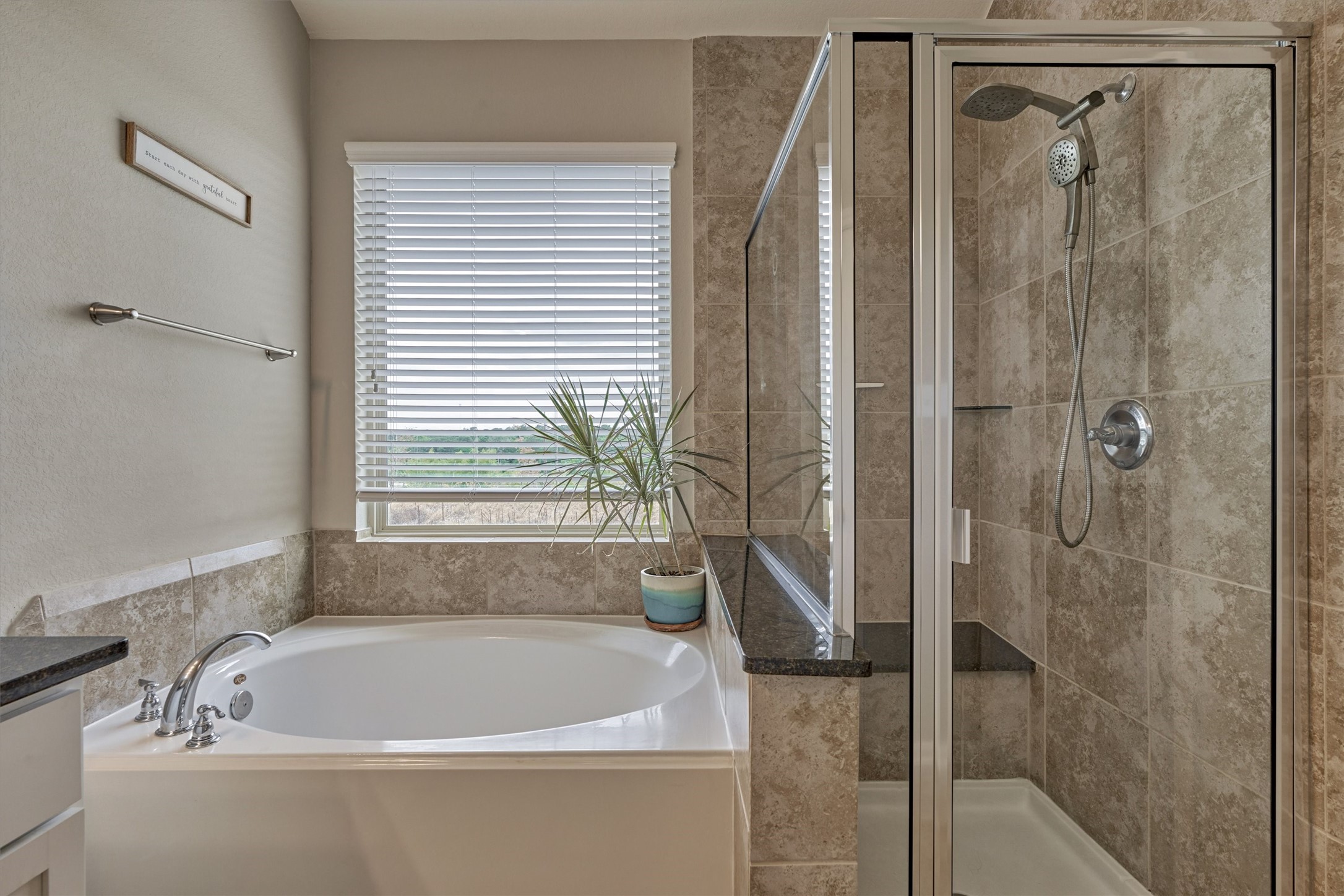 207 Biltmore Loop Montgomery, TX 77316 - Photo 13 of 16