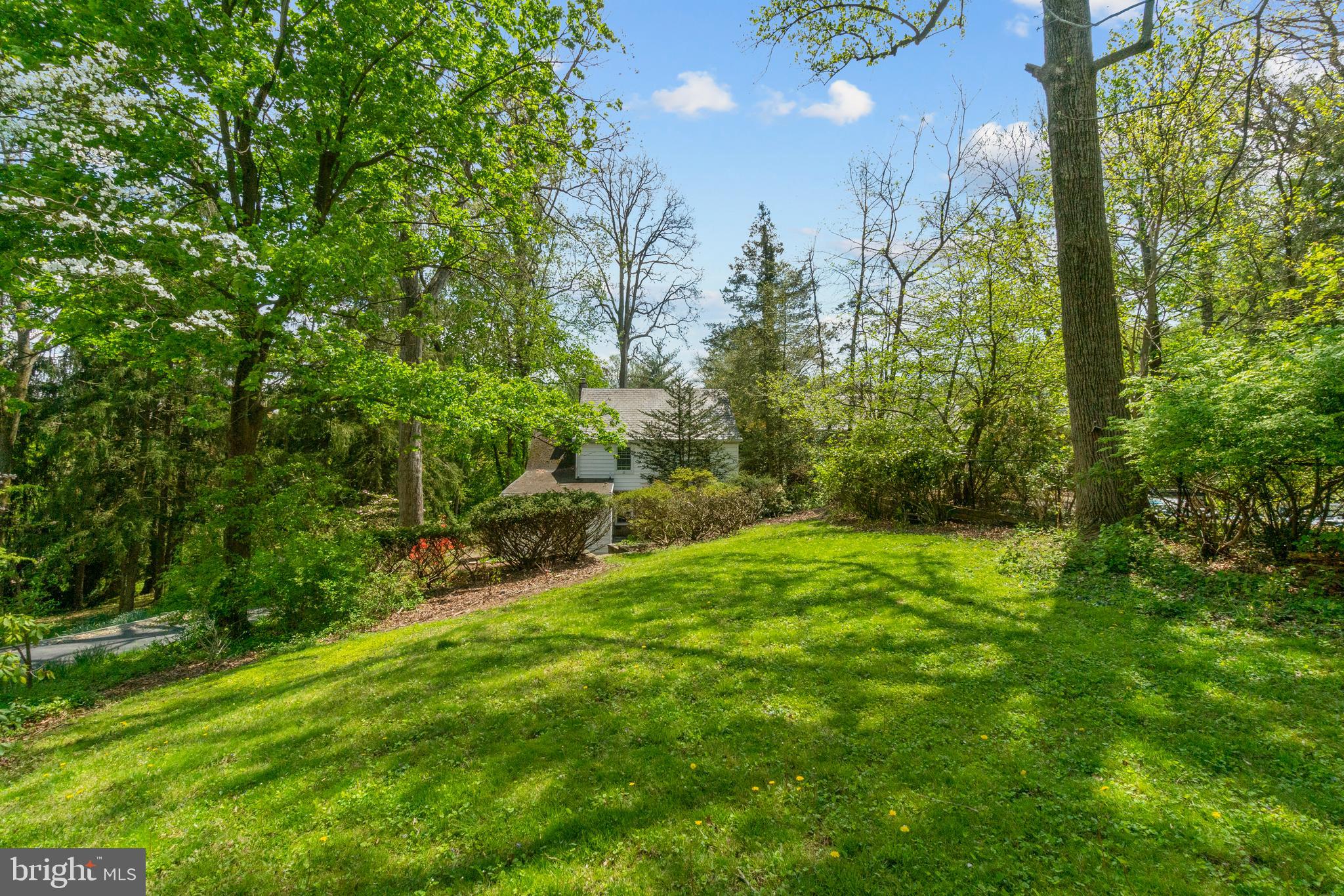 2110 South Road Baltimore, MD 21209 - Photo 9 of 43 Side yard-ideal for playing and pets