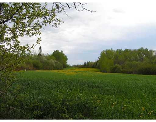 619 State Road Mapleton, ME 04757 - Photo 15 of 22 Land. Some of the tillable land.