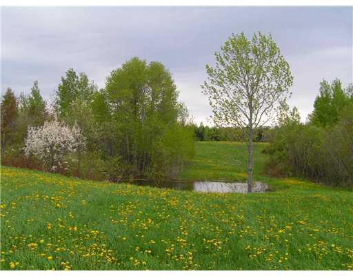 619 State Road Mapleton, ME 04757 - Photo 17 of 22 Other. The natural pond just a stone...