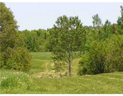 619 State Road Mapleton, ME 04757 - Photo 21 of 22 Land. The back yard .