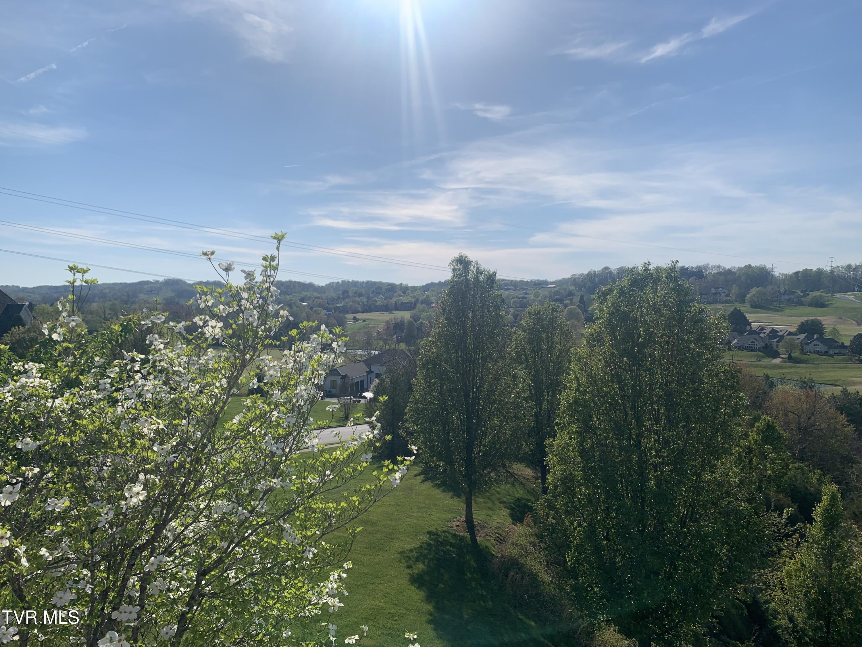 17 Cypress Ridge Court Jonesborough, TN 37659 - Photo 37 of 97 IMG_1722