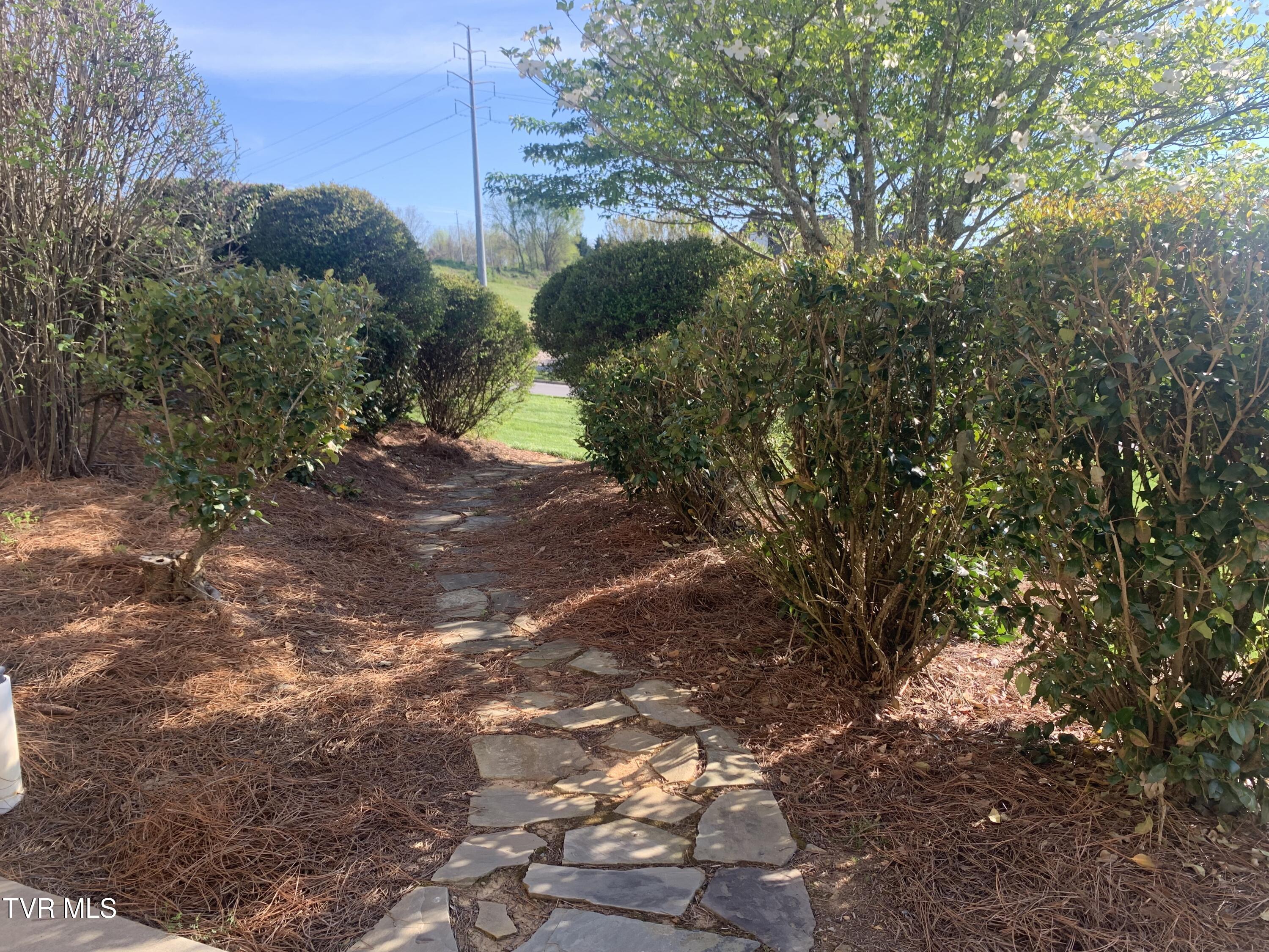 17 Cypress Ridge Court Jonesborough, TN 37659 - Photo 60 of 97 IMG_1734