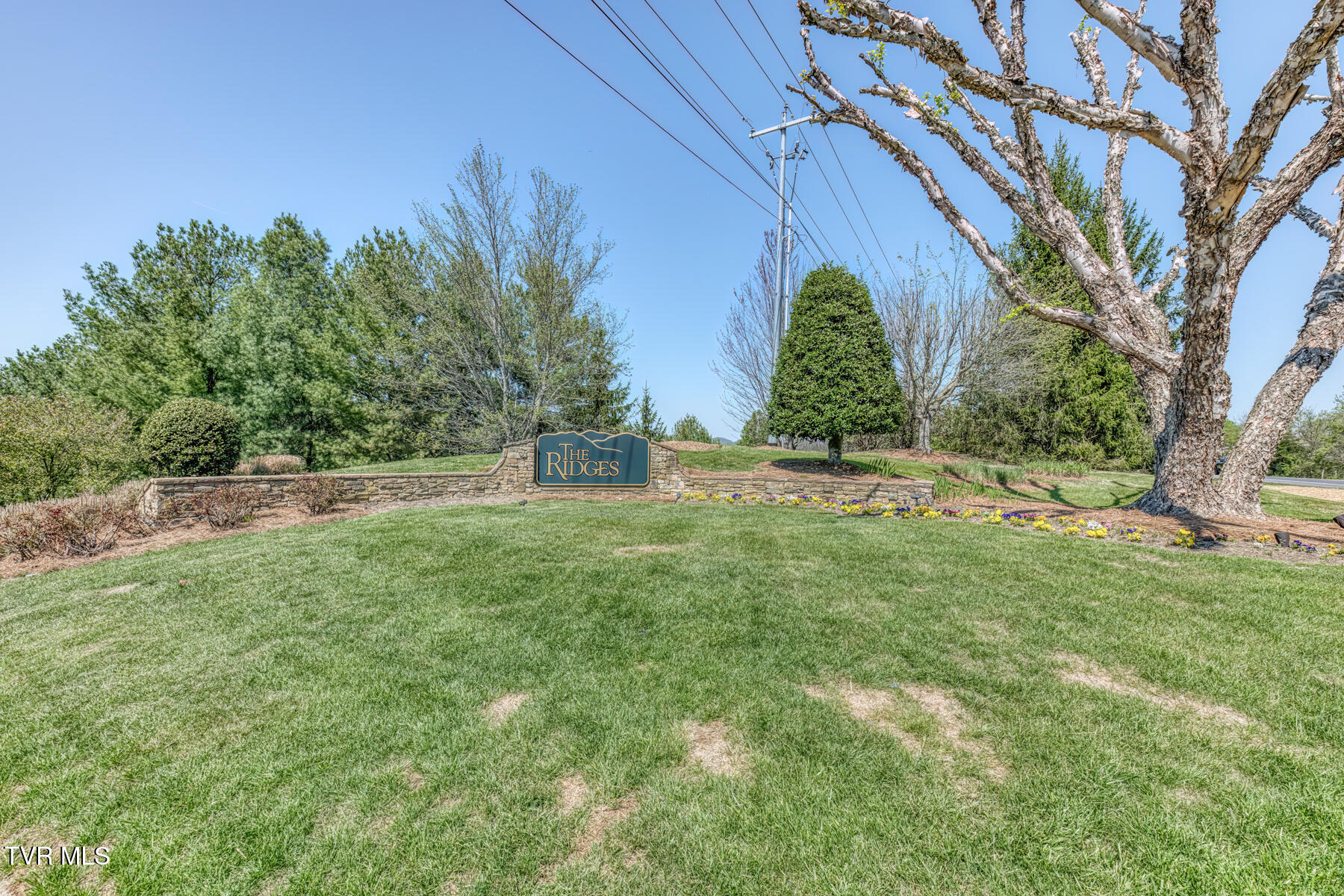 17 Cypress Ridge Court Jonesborough, TN 37659 - Photo 77 of 97 17 Cypress Ridge Ct-80