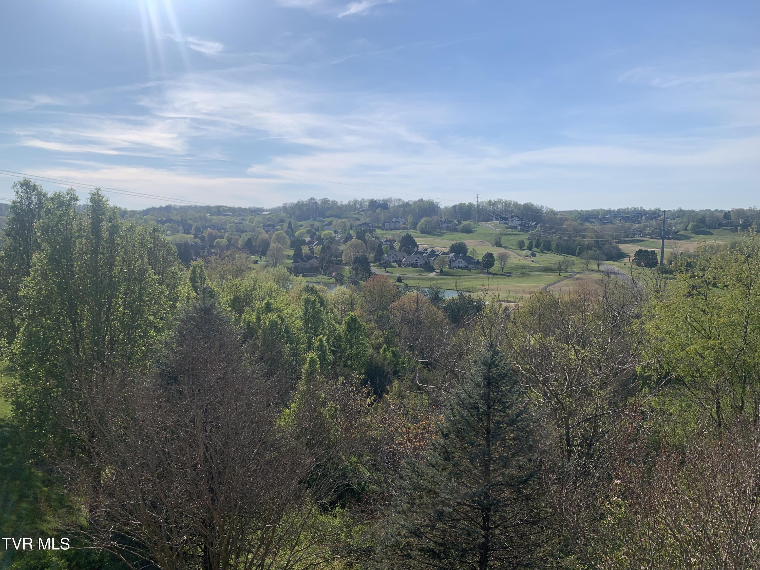 17 Cypress Ridge Court Jonesborough, TN 37659 - Photo 91 of 97 IMG_1724