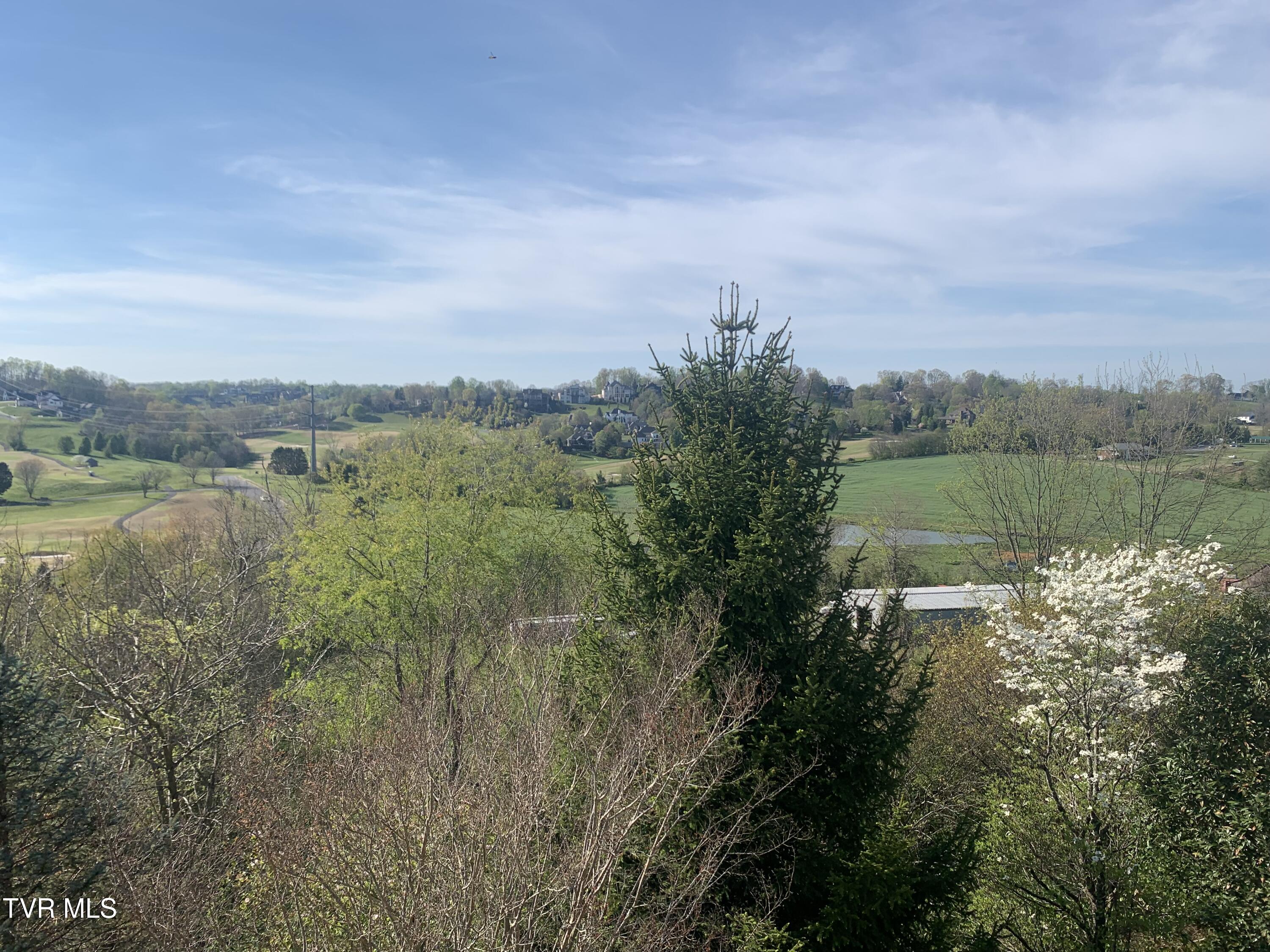 17 Cypress Ridge Court Jonesborough, TN 37659 - Photo 92 of 97 IMG_1723