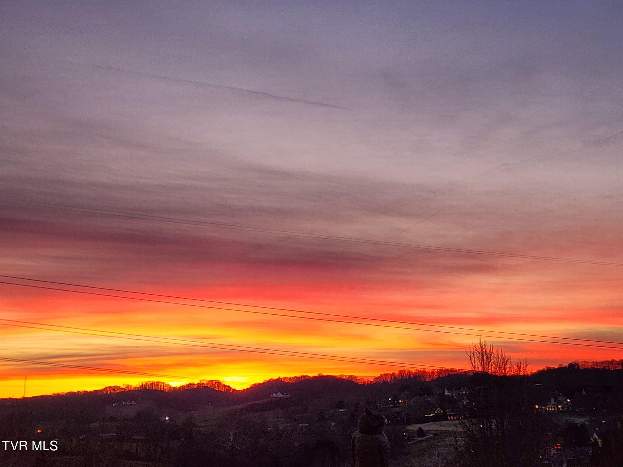 17 Cypress Ridge Court Jonesborough, TN 37659 - Photo 93 of 97 20251231_174052