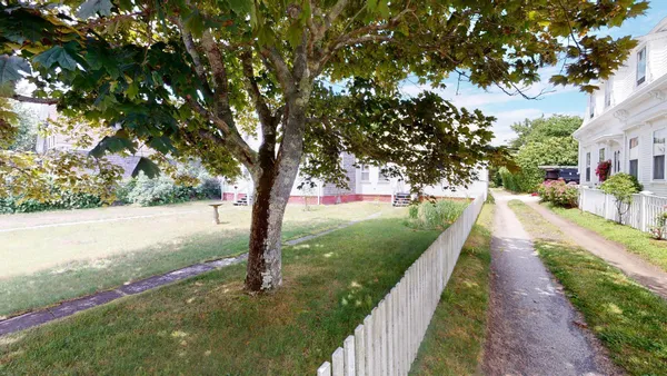 a view of a street with a large tree