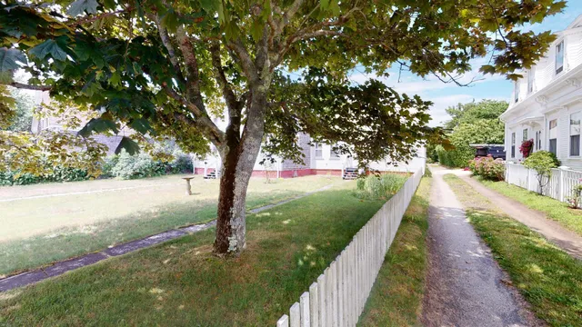 a view of a street with a large tree