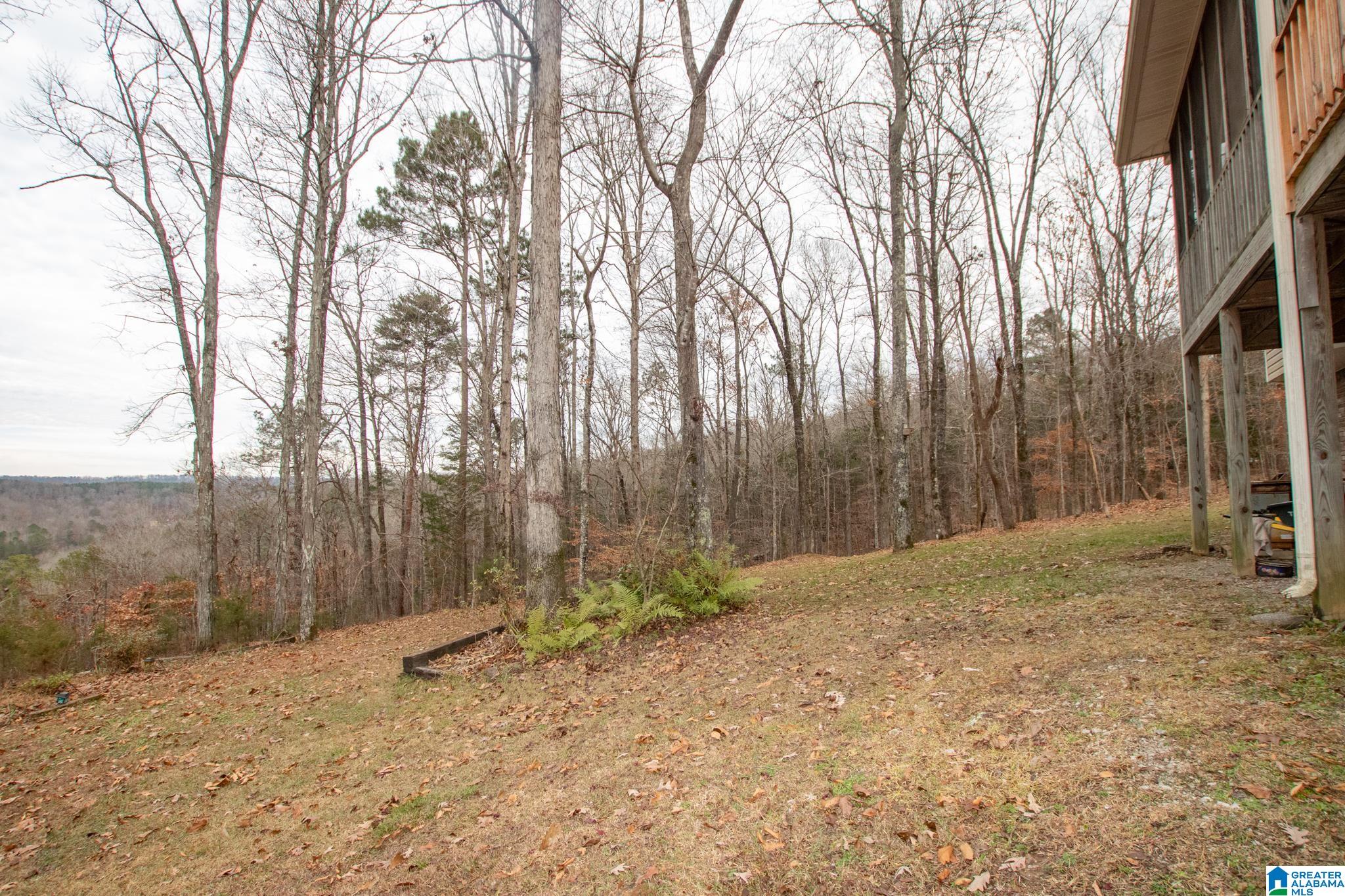 199 Heritage Ridge Springville, AL 35146 - Photo 28 of 30