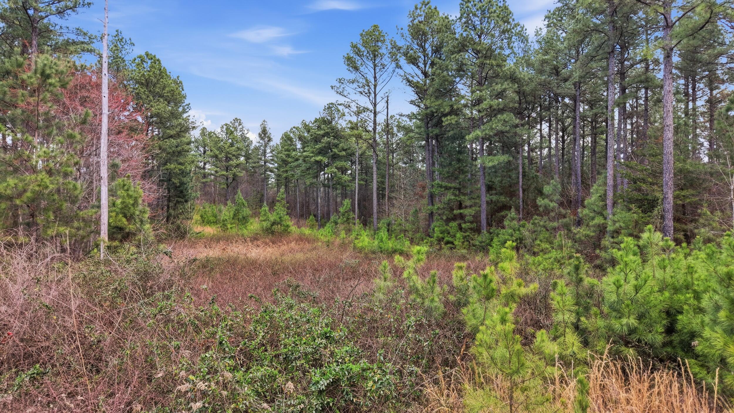 Lot 1040 Expedition Drive Guild, TN 37340 - Photo 2 of 6 2_270_expedition_dr_006