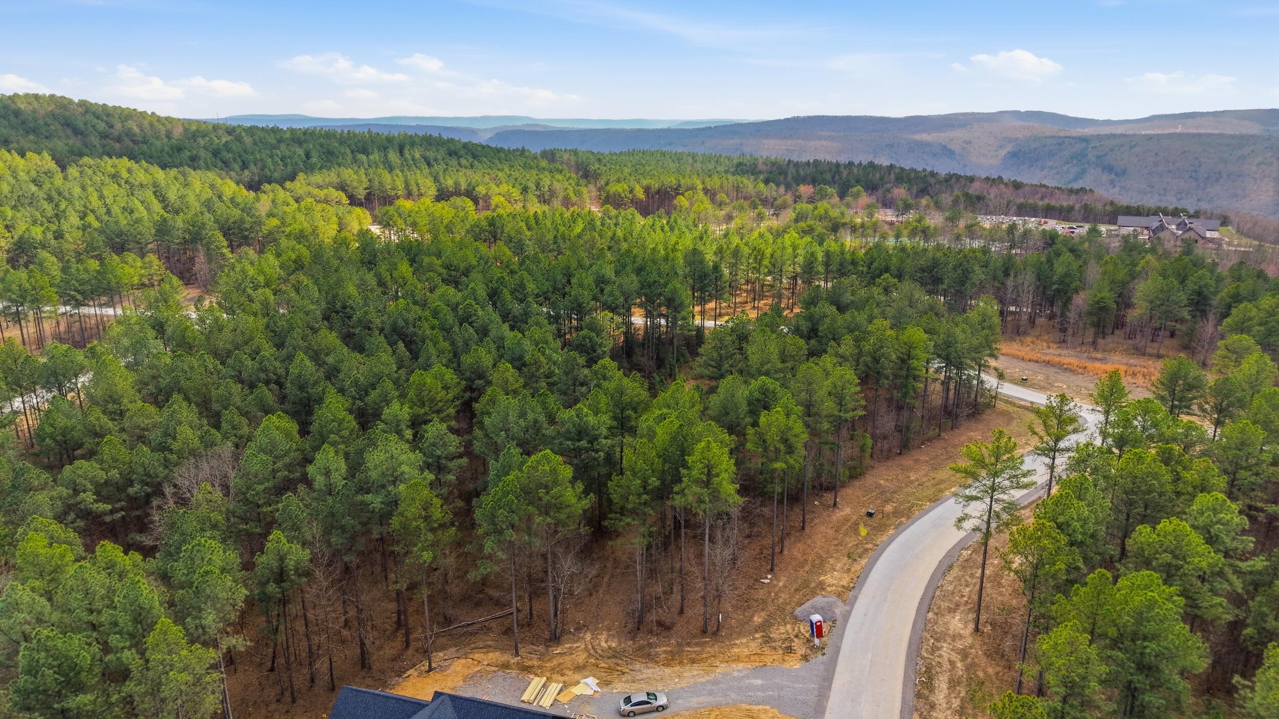 Lot 1040 Expedition Drive Guild, TN 37340 - Photo 3 of 6 4_270_expedition_dr_001