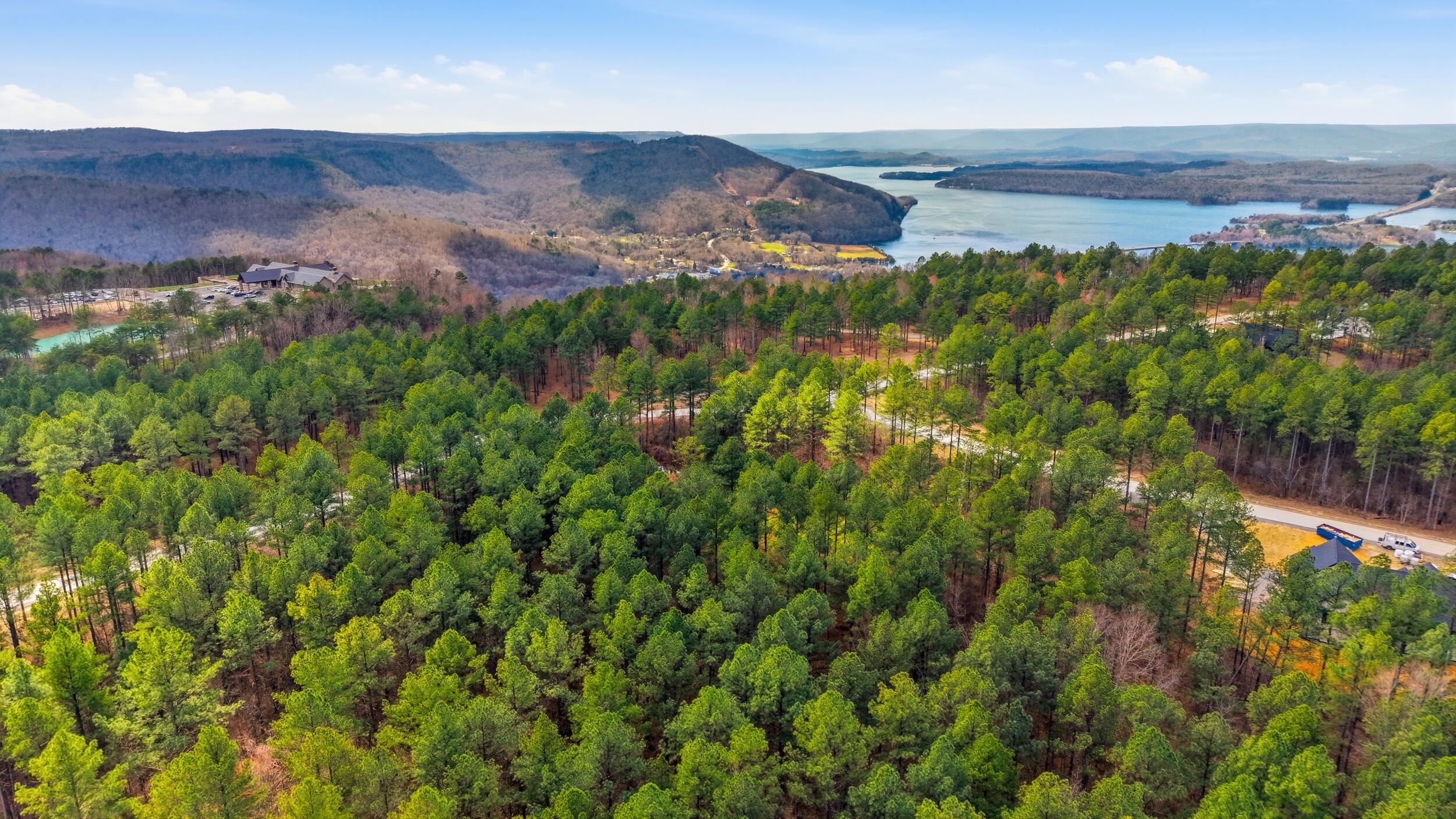 Lot 1040 Expedition Drive Guild, TN 37340 - Photo 5 of 6 6_270_expedition_dr_002