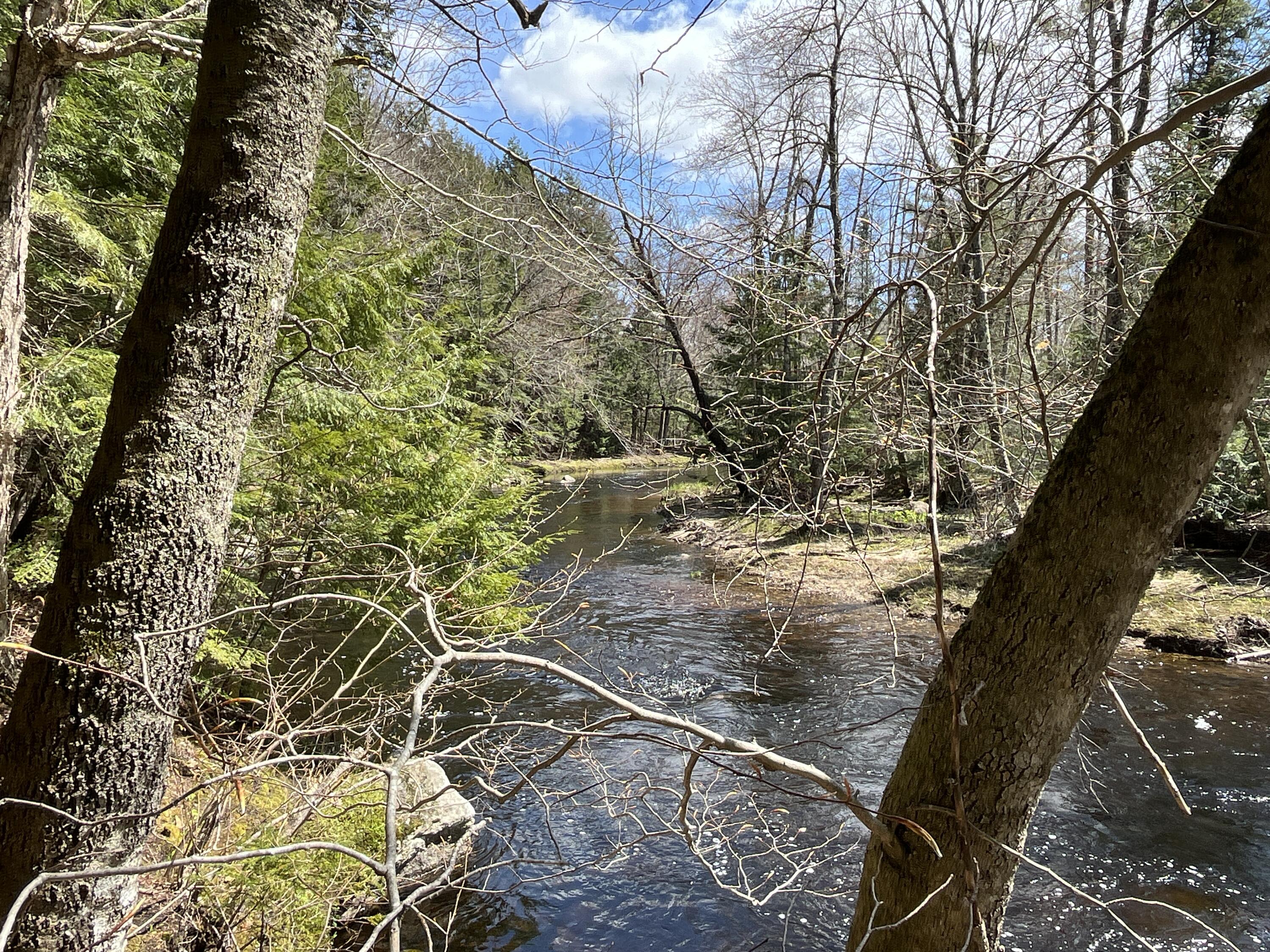 E. Branch of Nezinscot River