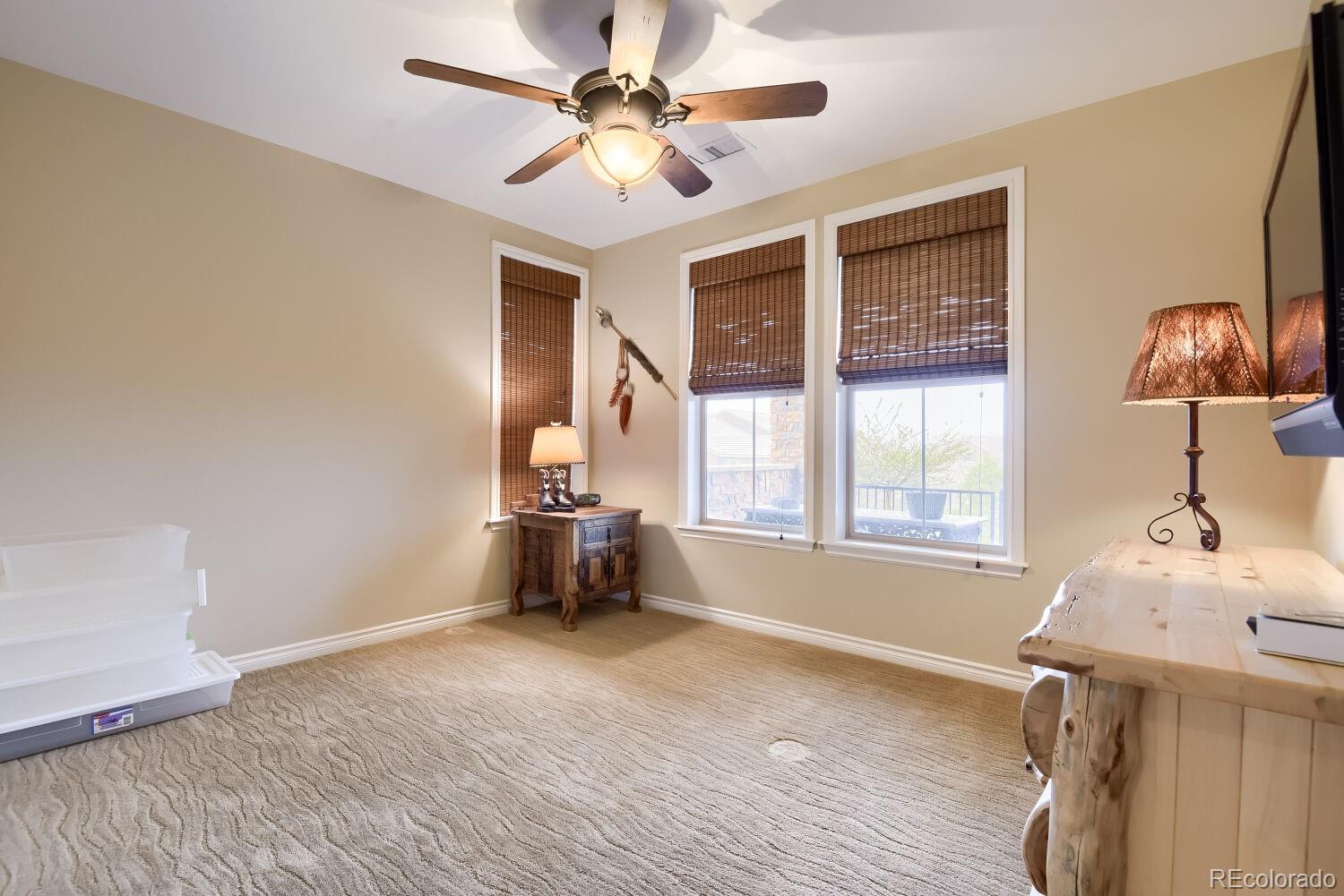 9309 Viaggio Way Highlands Ranch, CO 80126 - Photo 34 of 47