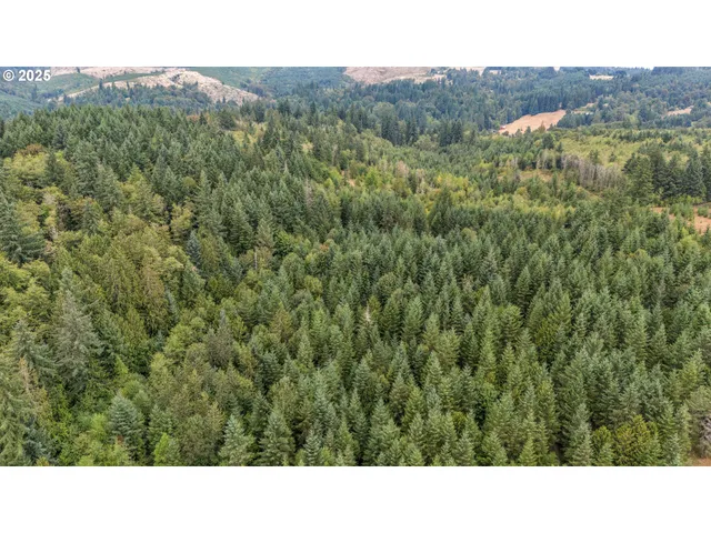 $769,000 | 31431 Fairview Road, Rainier, OR 97048