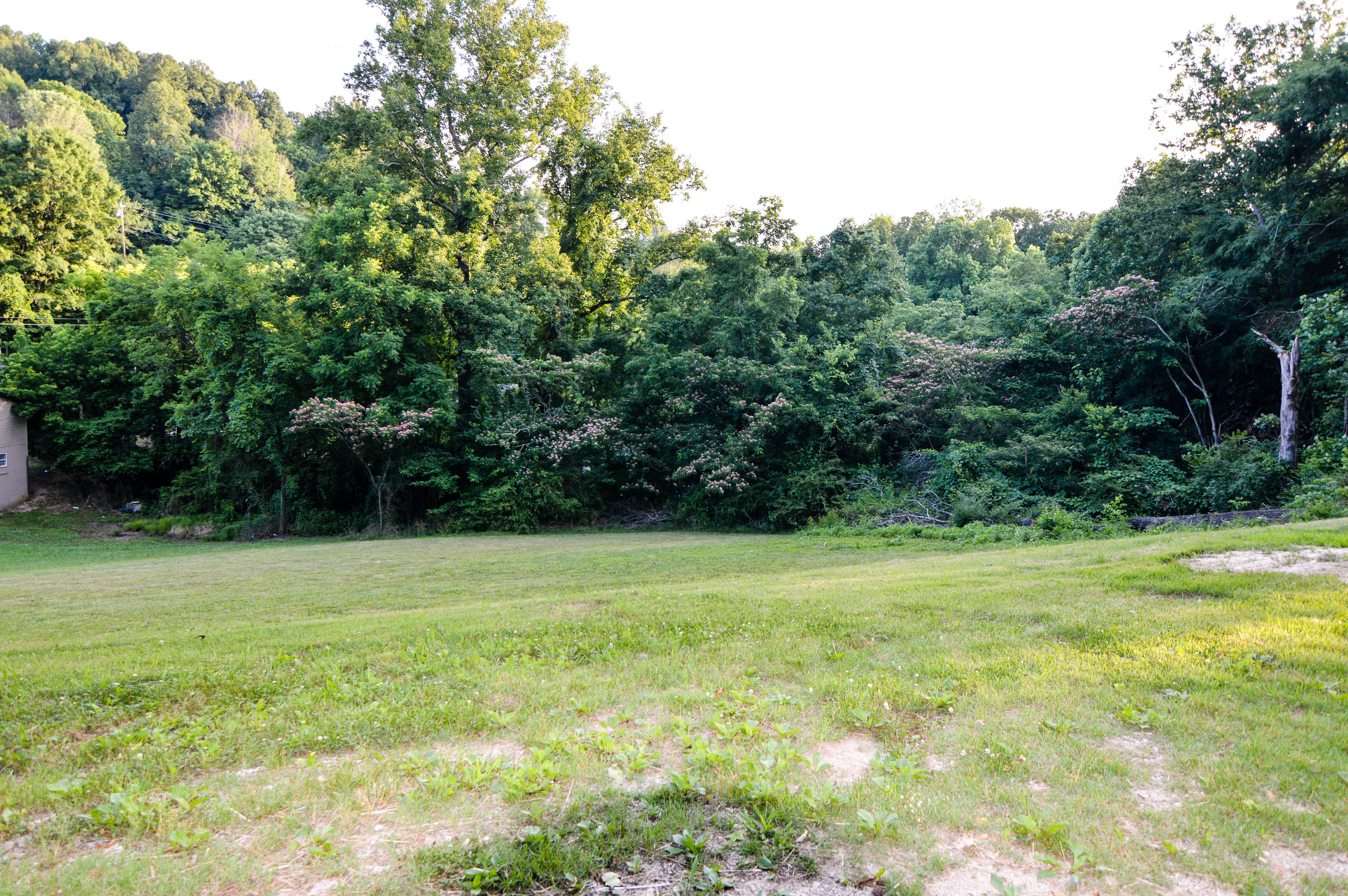 105 Lakeview Church Road Harriman, TN 37748 - Photo 10 of 30 DSC_0640