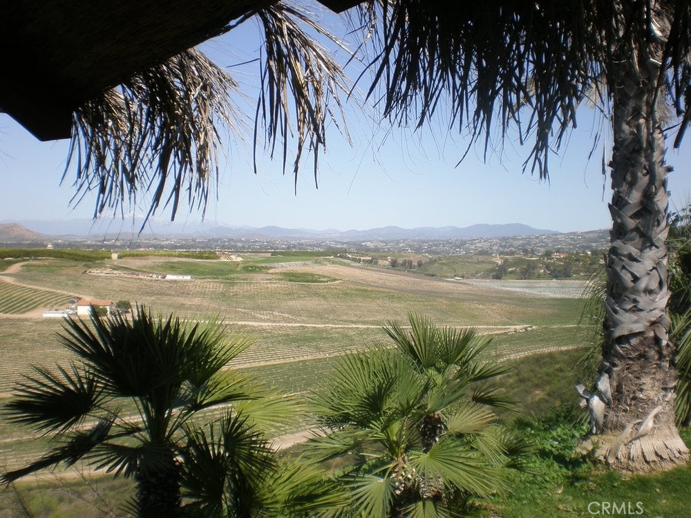 41220 Calle Contento Temecula, CA 92592 - Photo 6 of 30 a view of a lake from a yard