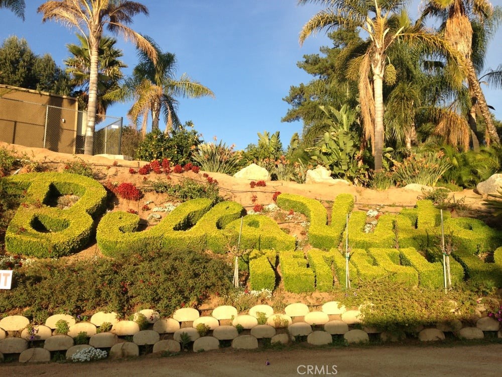 41220 Calle Contento Temecula, CA 92592 - Photo 7 of 30 a view of bunch of flowers