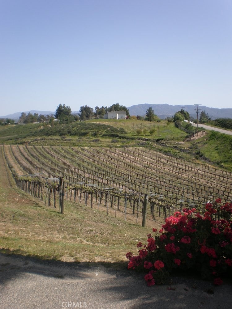 41220 Calle Contento Temecula, CA 92592 - Photo 8 of 30 a view of lake