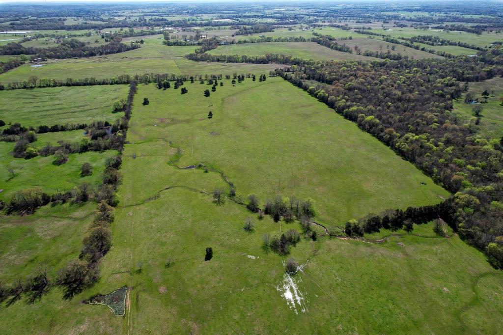 2110 Southwest Access Rd Mount Mount Vernon, TX 75457 - Photo 8 of 14 a view of a lush green forest with lots of trees