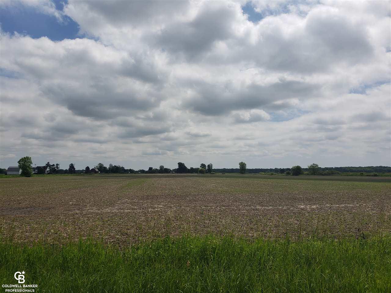 Yale Rd Ville Yale, MI 48097 - Photo 3 of 10