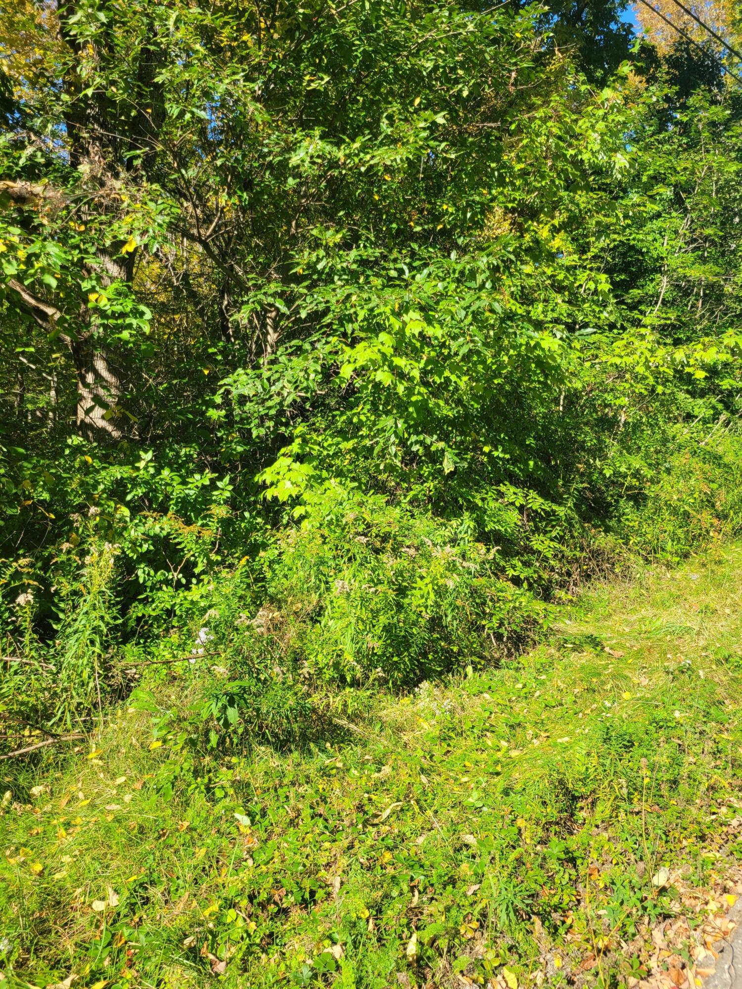 0 Blueberry Hill Road Winterport, ME 04496 - Photo 4 of 5 20210929_094921