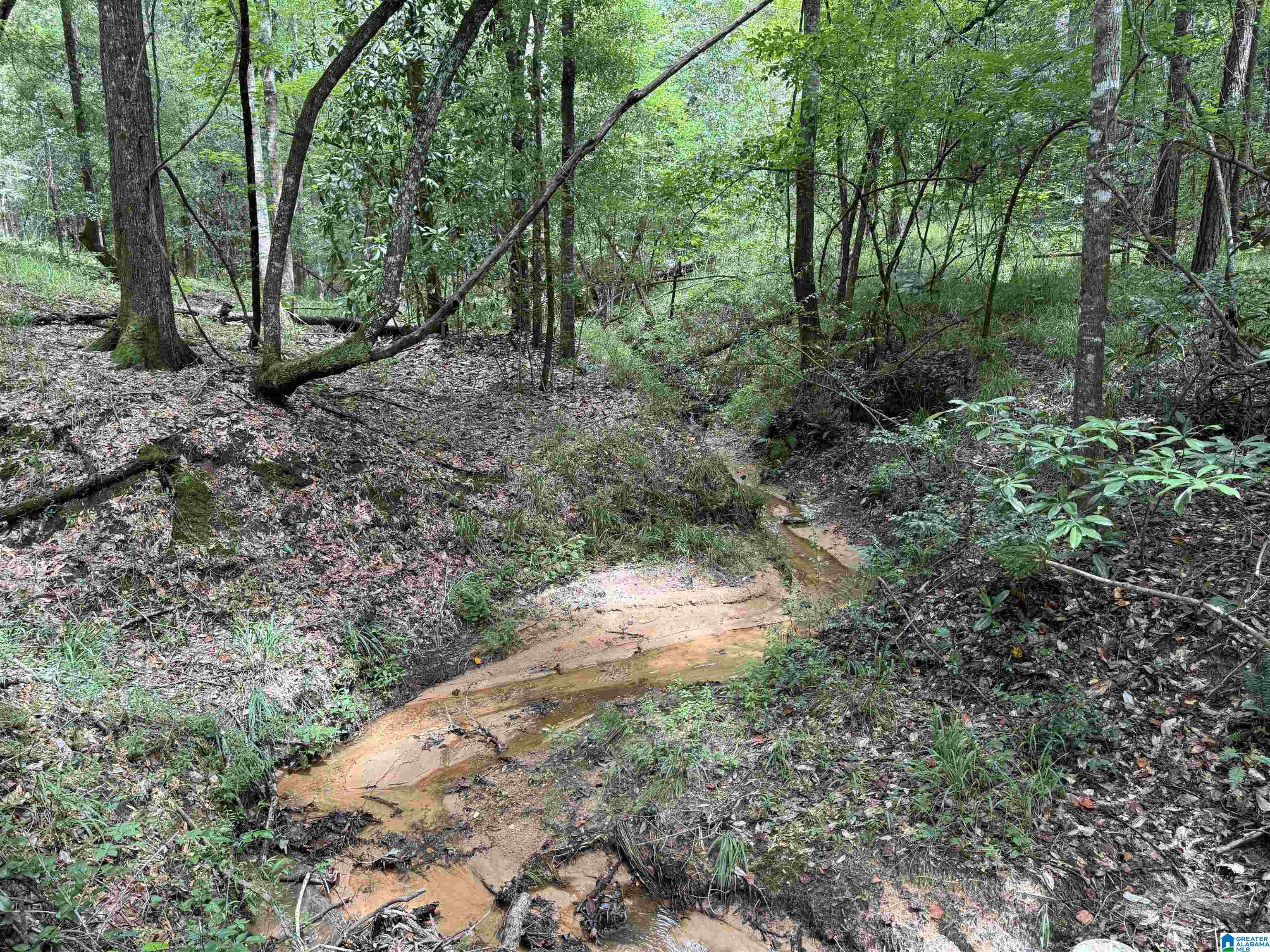0 County Road 65 Abbeville, AL 36310 - Photo 13 of 24