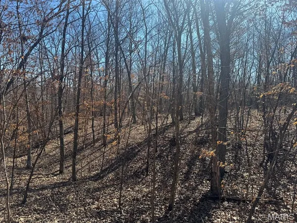 $125,000 | 0 Clinton Place, Monroe City, MO 63456