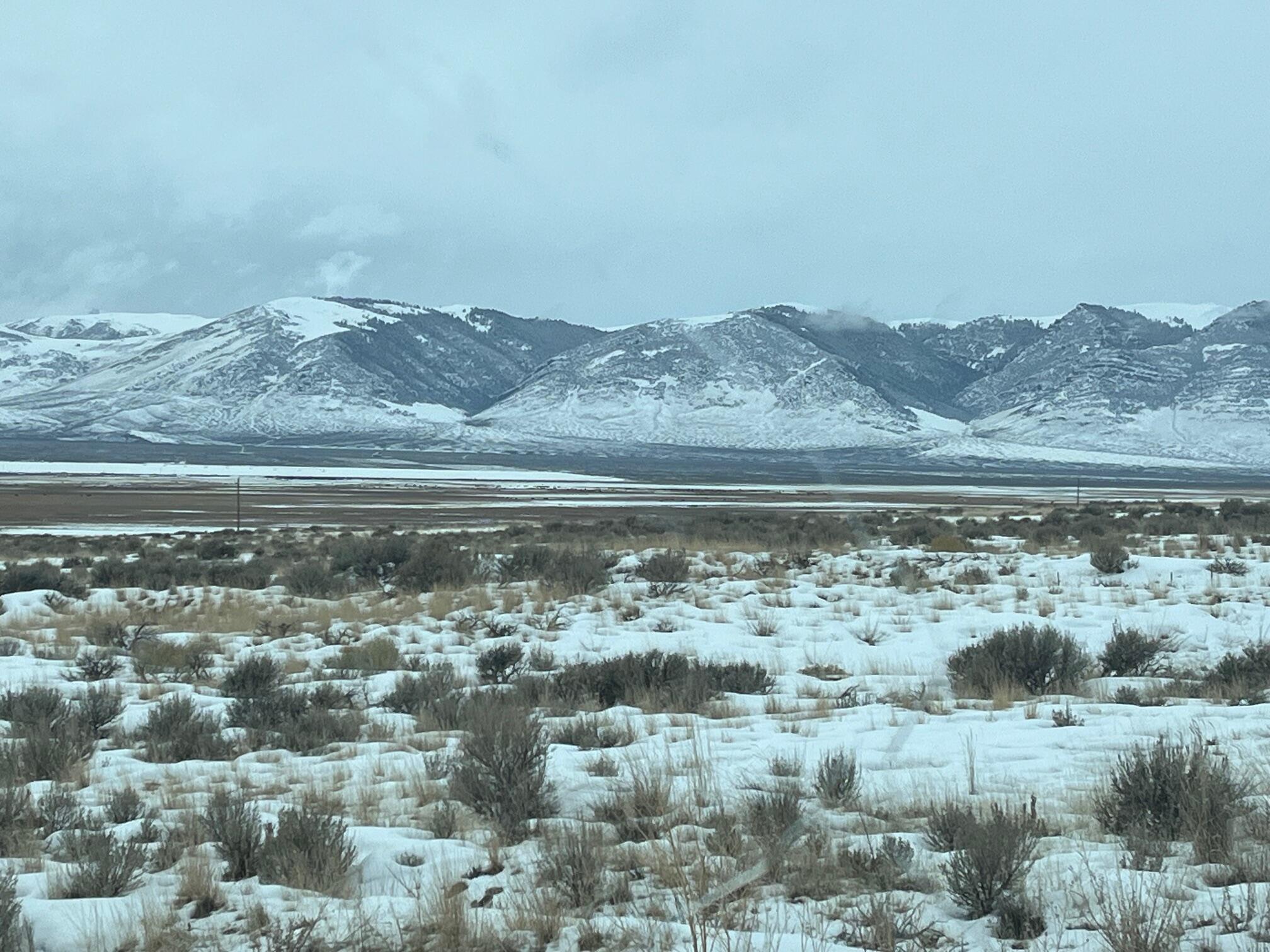 Tbd Old Chilly Road Mackay, ID 83251 - Photo 3 of 8 IMG_3998