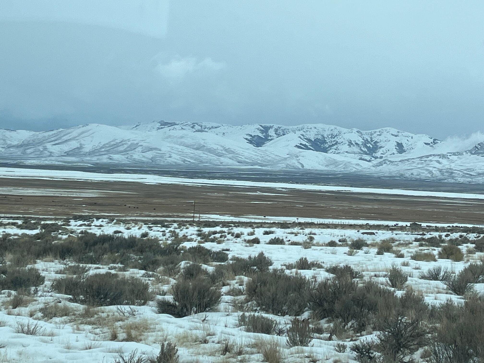 Tbd Old Chilly Road Mackay, ID 83251 - Photo 4 of 8 IMG_3999