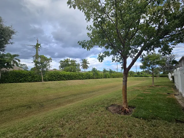 a view of a park with large trees