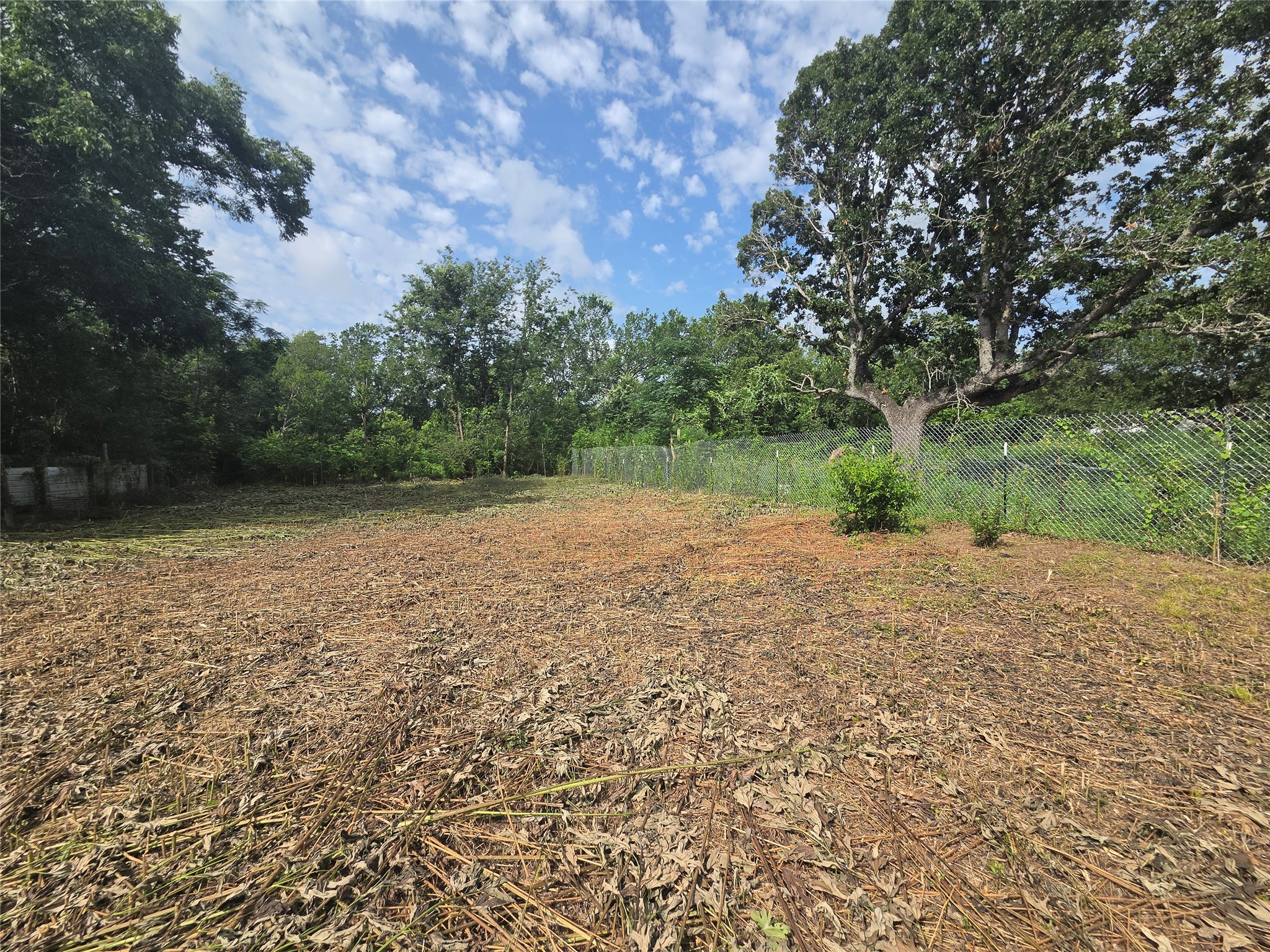 327 Houston Street Elgin, TX 78621 - Photo 4 of 7 A cleared, level lot awaits your vision, bordered by mature trees and a sturdy fence.