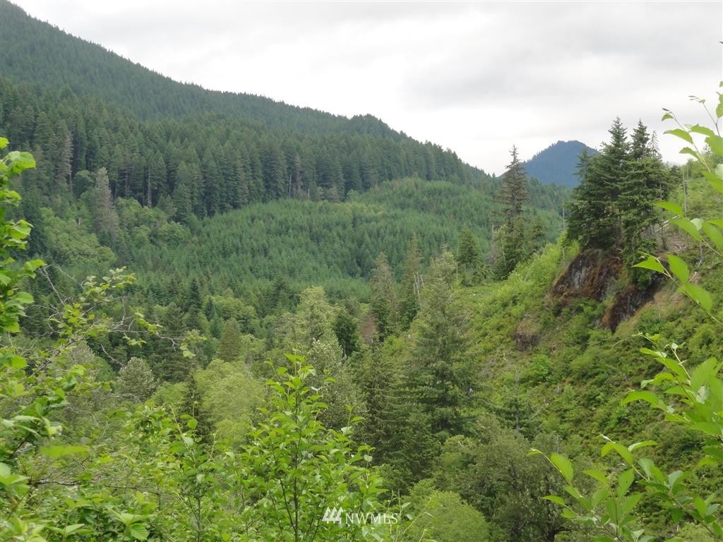 0 Leroy Road Randle, WA 98377 - Photo 17 of 20 Gallery Image 17
