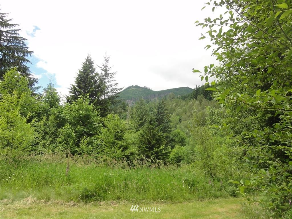 0 Leroy Road Randle, WA 98377 - Photo 18 of 20 Gallery Image 18