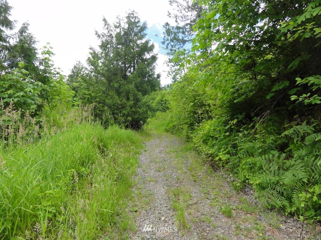 0 Leroy Road Randle, WA 98377 - Photo 19 of 20 Gallery Image 19